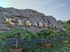 -北京西山国家森林公园