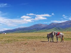-扁都口生态休闲旅游区