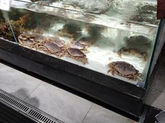 -超级物种·波龙工坊(国贸店)