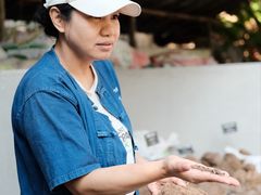 -大象粑粑造纸公园