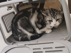 -瑞鹏宠物医院犬猫全科(真大分院)