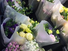 -溪岸路花鸟市场