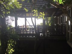 -三亚亚龙湾人间天堂鸟巢度假村