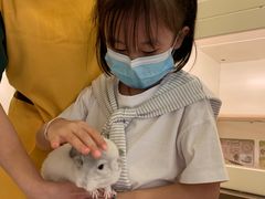 -龙猫仔乐园(惠福东路店)