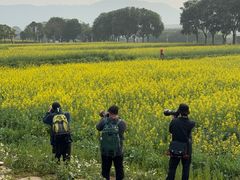 -光明小镇欢乐田园