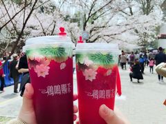 -鸡鸣赐茶(鸡鸣寺路店)
