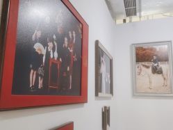 点击看大图 -苹果树儿童摄影工作室