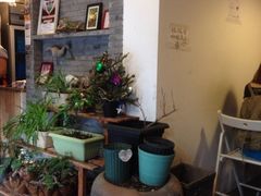 iphone_upload_pic-狐狸家·酸奶酪专门店(平江路店)