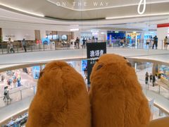 -东莞松山湖万象汇