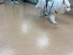 -宠颐生中康贝怡动物医院