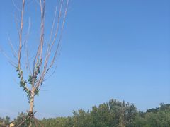 -北戴河集发农业梦想王国