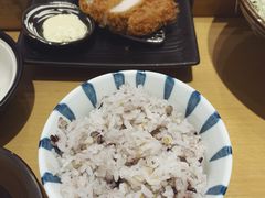 杂粮饭-胜博殿日式炸猪排(西红门店)