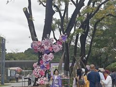 -云溪植物园
