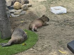 -盈香心动乐园