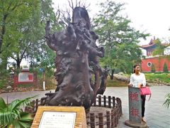 -大槐树寻根祭祖园