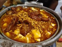 大肠豆腐煲-天福苑(崇宁路店)