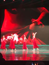 -艾薇芭蕾艺术中心