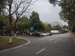 -都江堰中华大熊猫苑