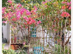 -默迹咖啡馆