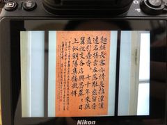 -黄枝记(议事亭前地店)