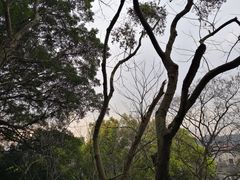 -船政文化景区-罗星塔公园