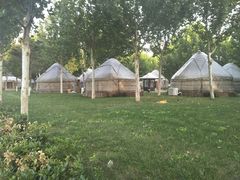 -九十九顶毡房(阜石路店)