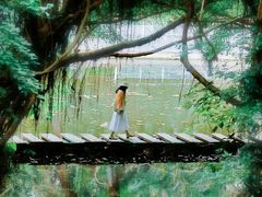 -燕晗山郊野公园