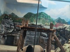 -武汉动物园