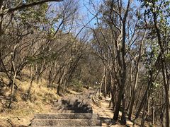 -紫金山山顶公园