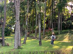 -四季酒店下午茶