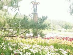 -长春公园(普阳街道)