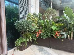 -心足私家足疗SPA(深圳湾店)