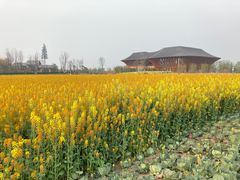 -中国天府农业博览园