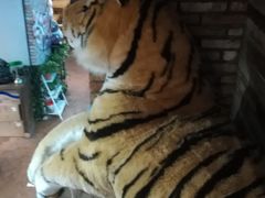 -雨舍咖啡(汉神购物广场咖啡街区店)