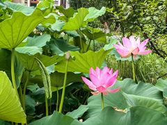 -天毓山庄·餐厅