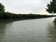 -大湾区中央湿地公园