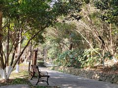 -杭州半山国家森林公园