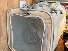 -瑞派申生动物医院·24H夜诊·国际动物医疗中心·骨外科(吴中路店)