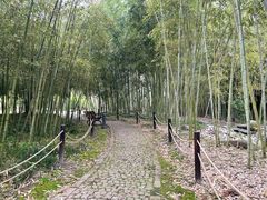 -新虹桥中心花园
