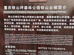 -铁山坪森林公园