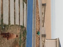 秦皇国际大酒店-秦皇岛秦皇国际大酒店