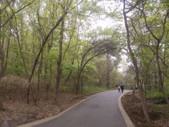 -大蜀山国家森林公园