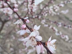 -处女泉风景名胜区