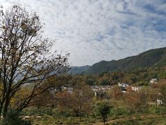 -塔川景区