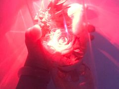 -三福(骡马市步行街店)