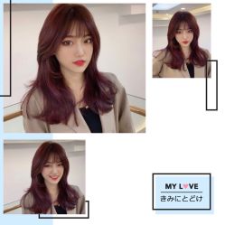 -潘多拉Hairsalon