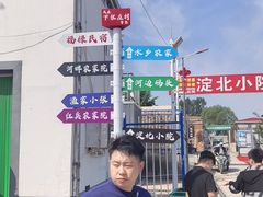 -白洋淀景区