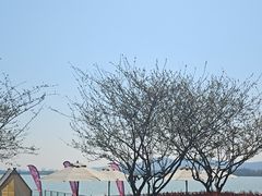 -望海·帆船主题咖啡厅•品茗下午茶(石湖景区店)