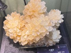 -中华赏石园