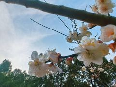 -大蜀山国家森林公园